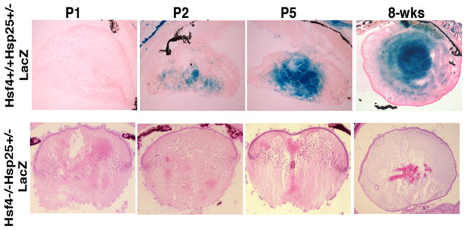 Figure 15-7