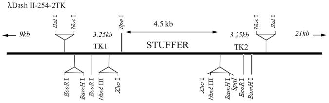 Figure 15-1