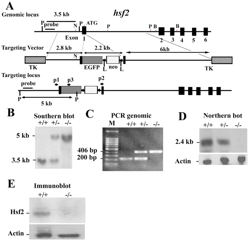 Figure 15-4