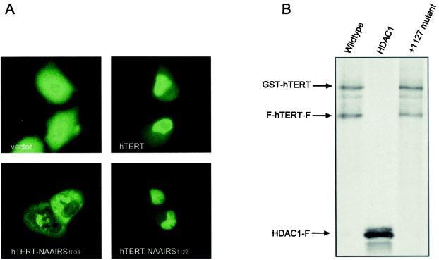 FIG. 8.