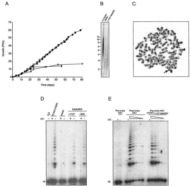 FIG. 6.