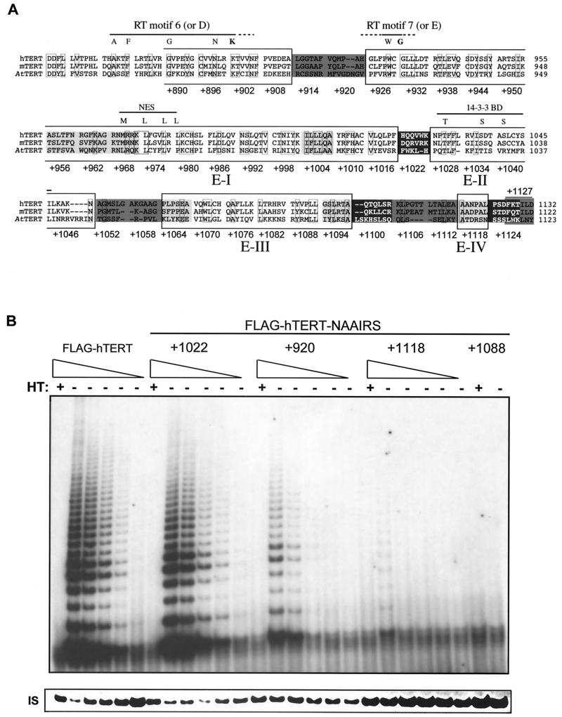 FIG. 1.