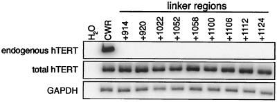 FIG. 5.