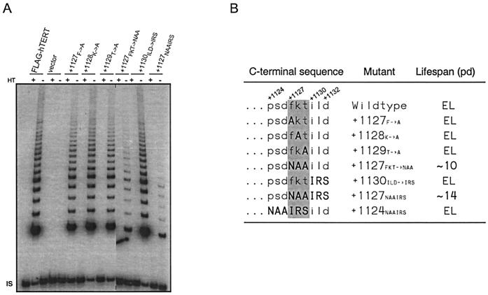 FIG. 7.