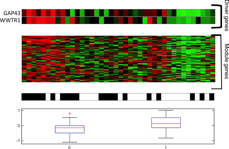 Figure 4: