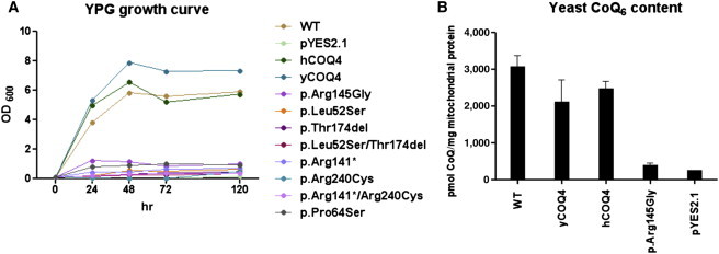 Figure 3