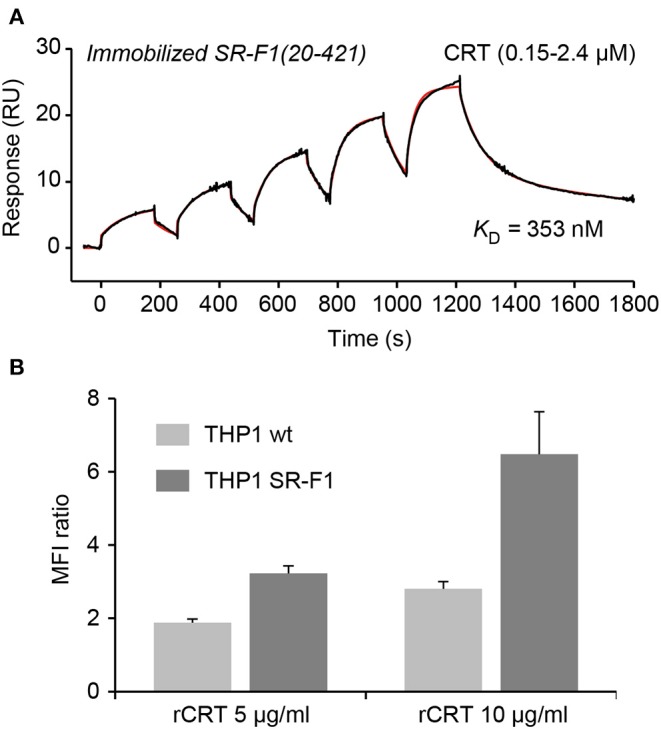 Figure 6