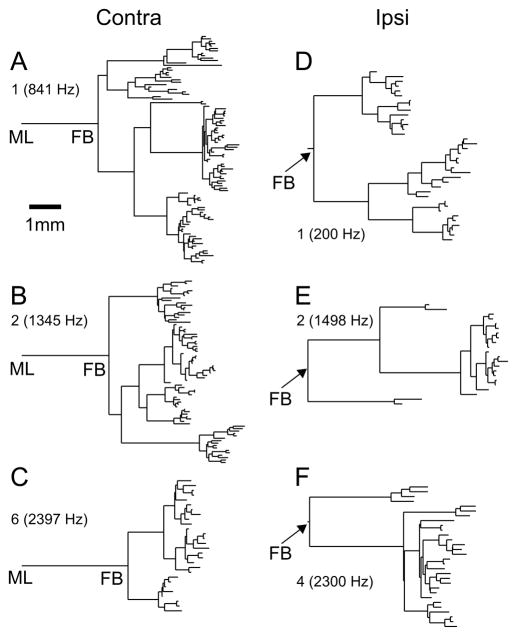 Fig. 7