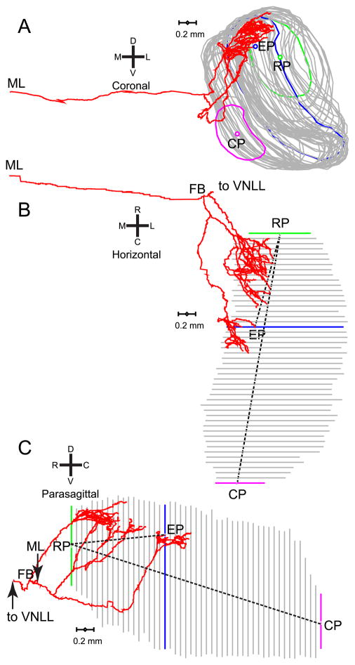 Fig. 2