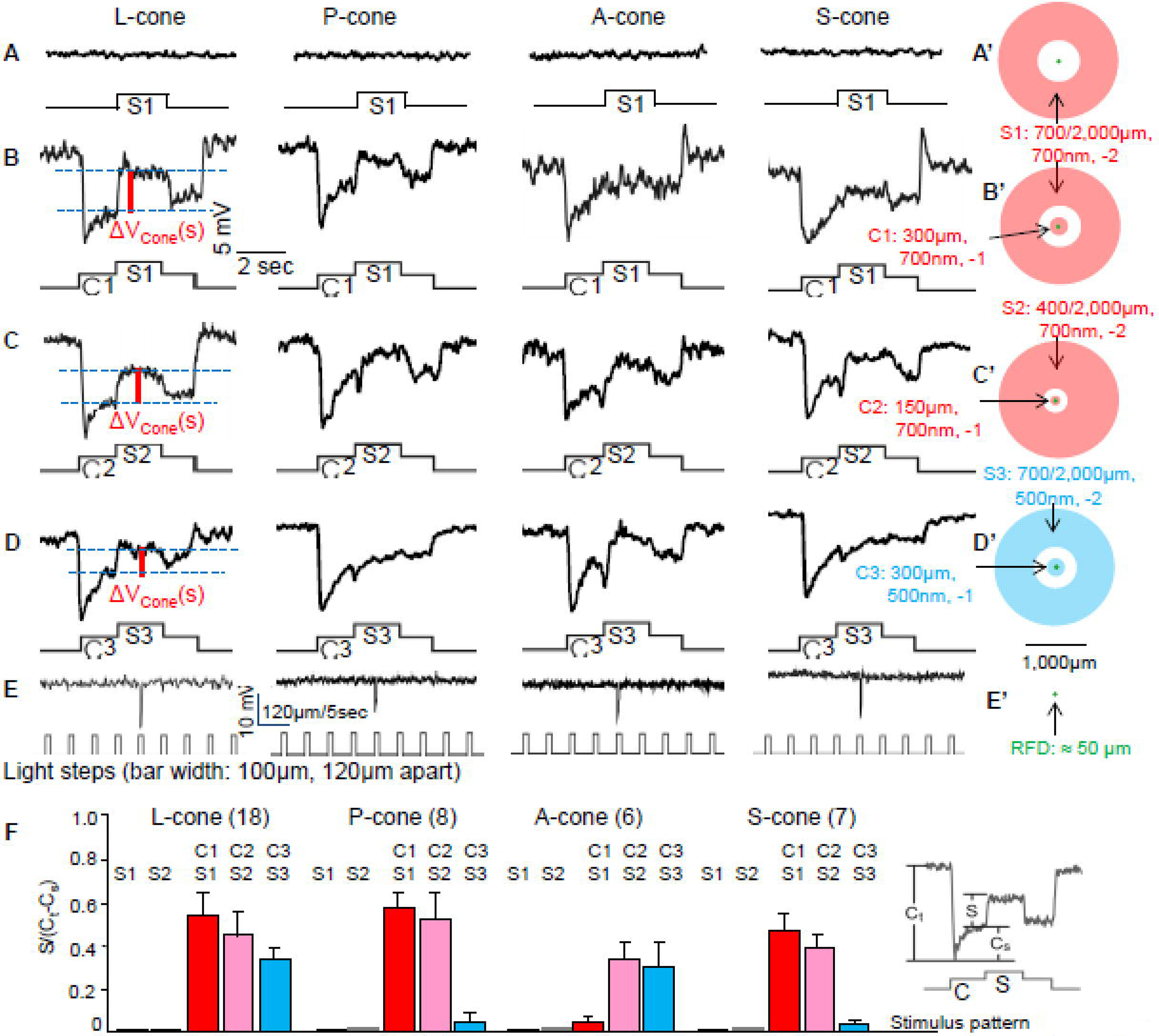 Figure 2: