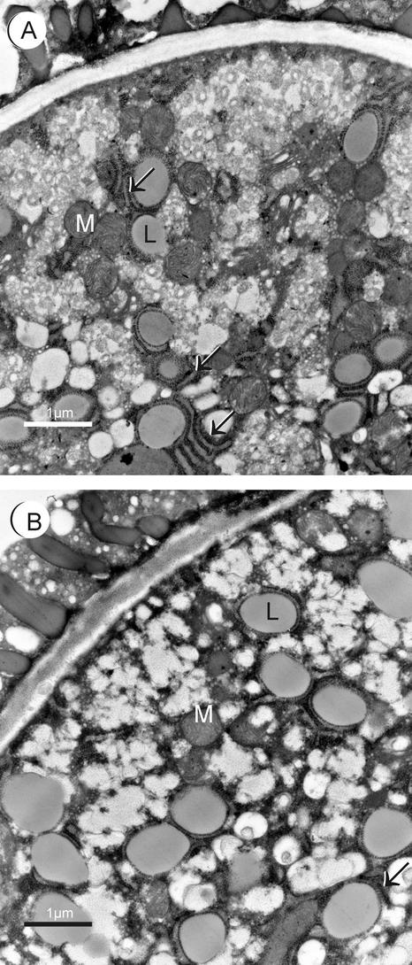 Figure 10.