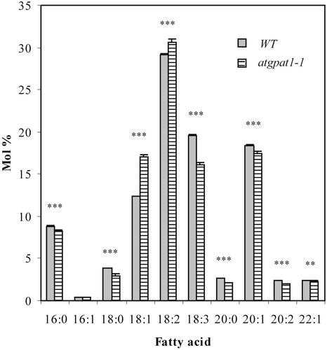 Figure 11.