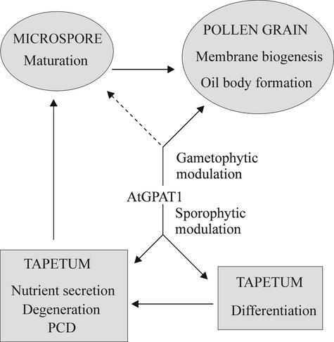 Figure 12.