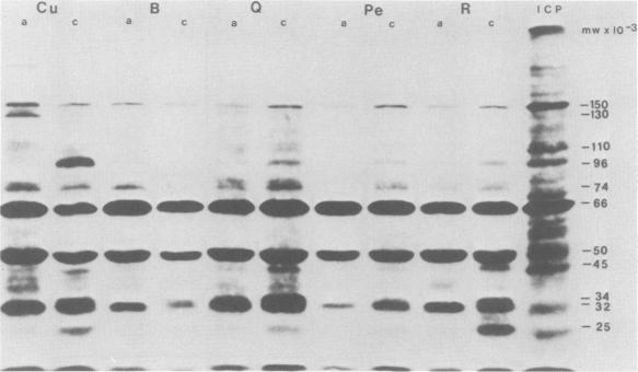 FIG. 8