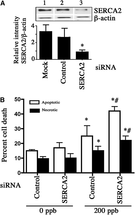 Figure 10.