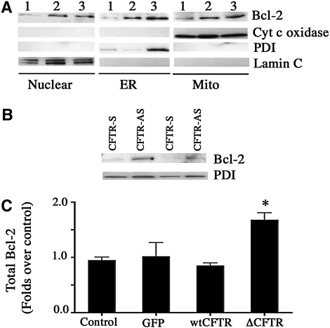 Figure 9.