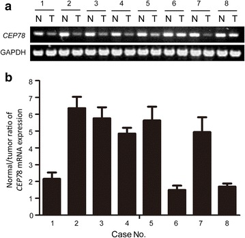 Fig. 1