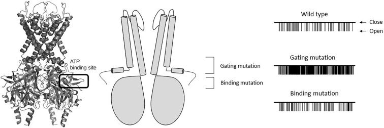 Figure 3.