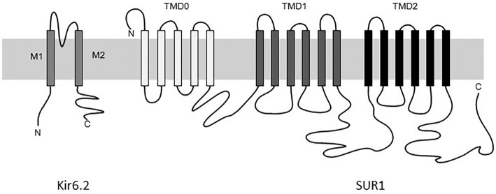 Figure 2.