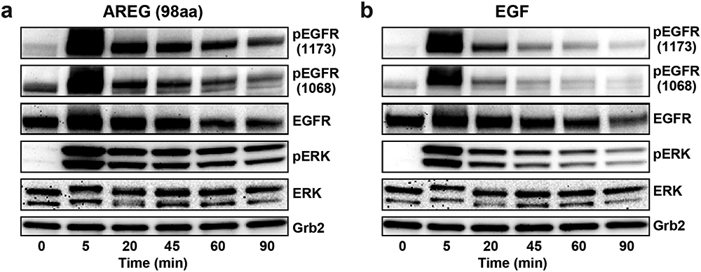 Extended Data Fig. 3.