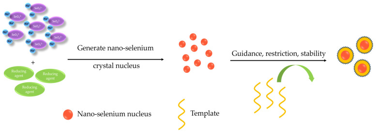 Figure 11
