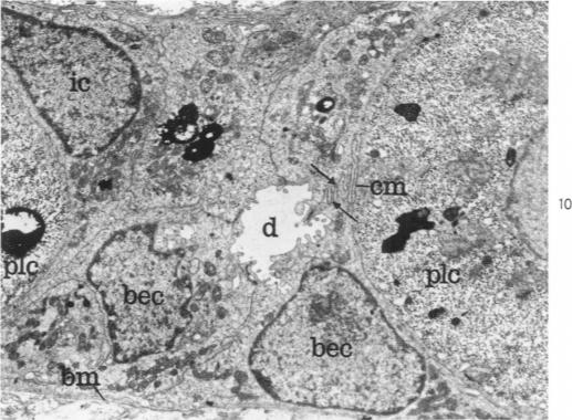 Fig. 10