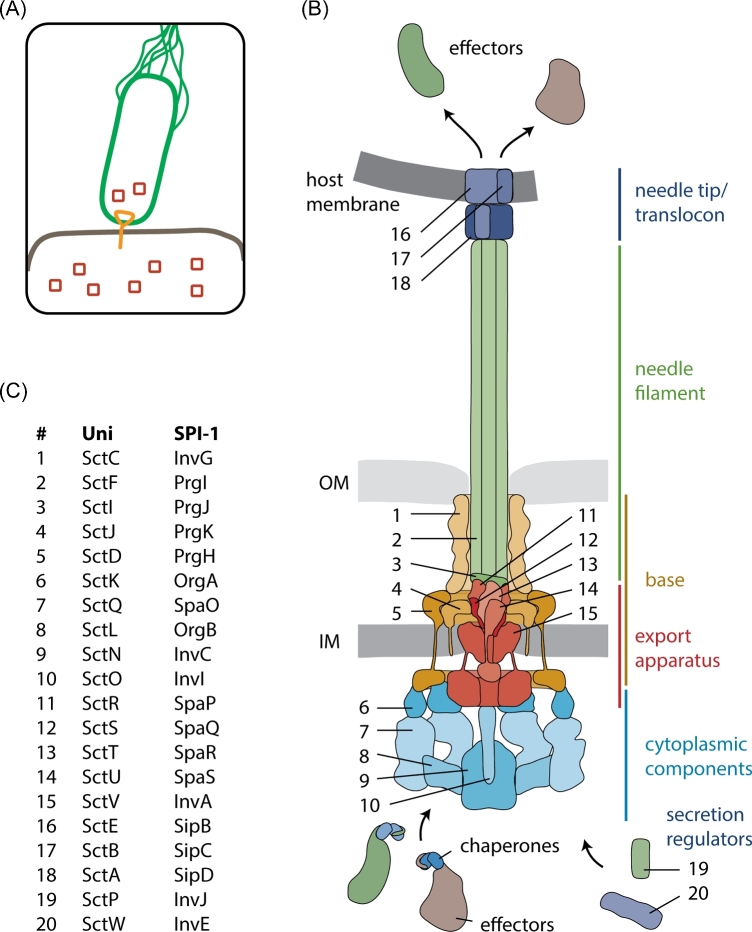 Figure 1.