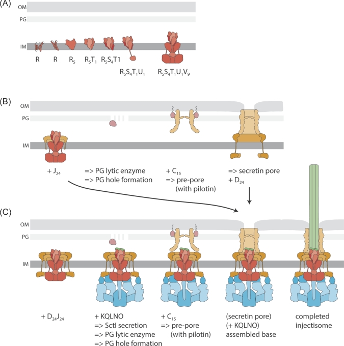 Figure 2.