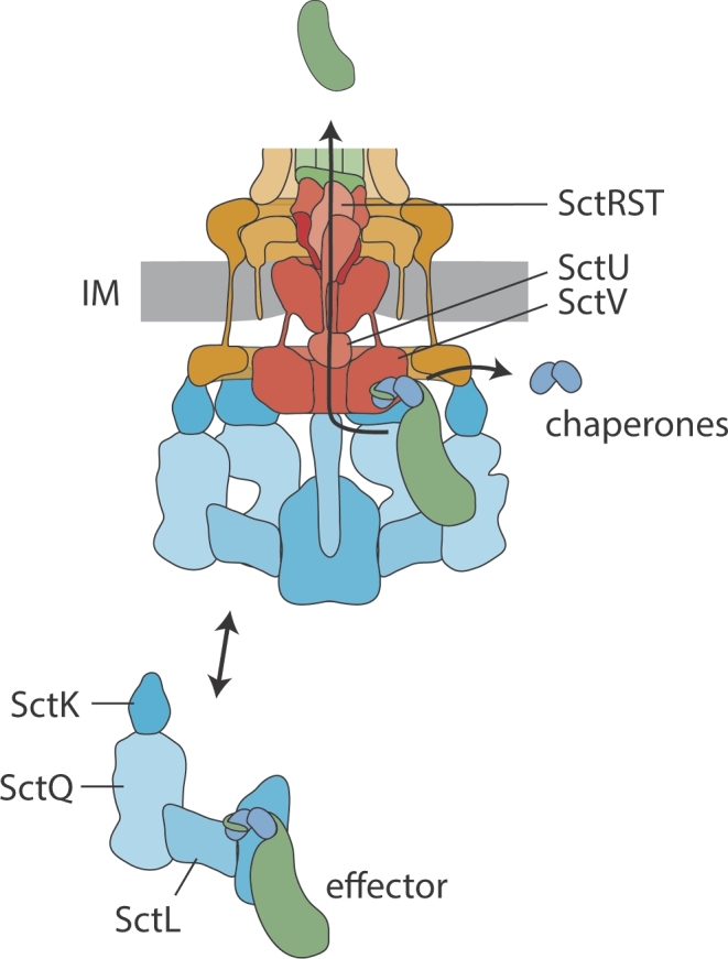 Figure 3.