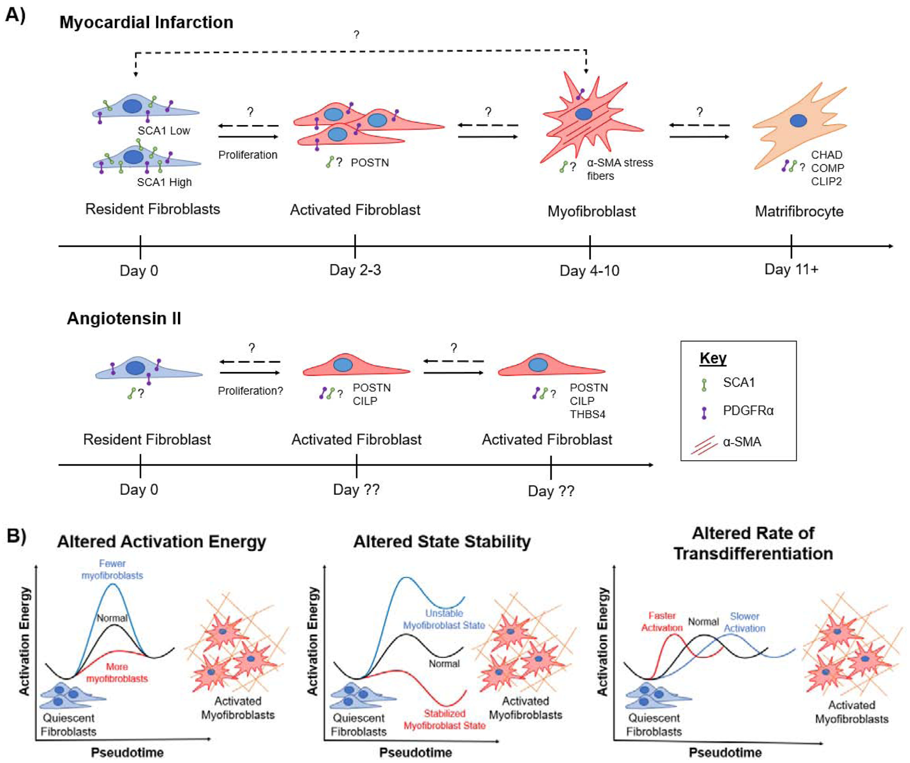 Figure 2: