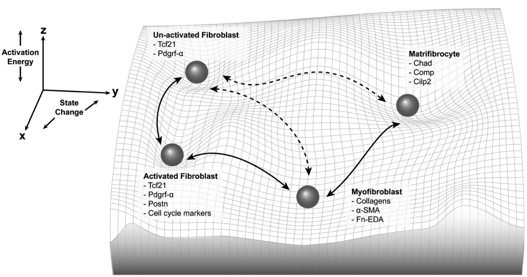 Figure 1: