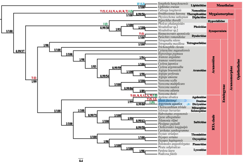 Fig. 3