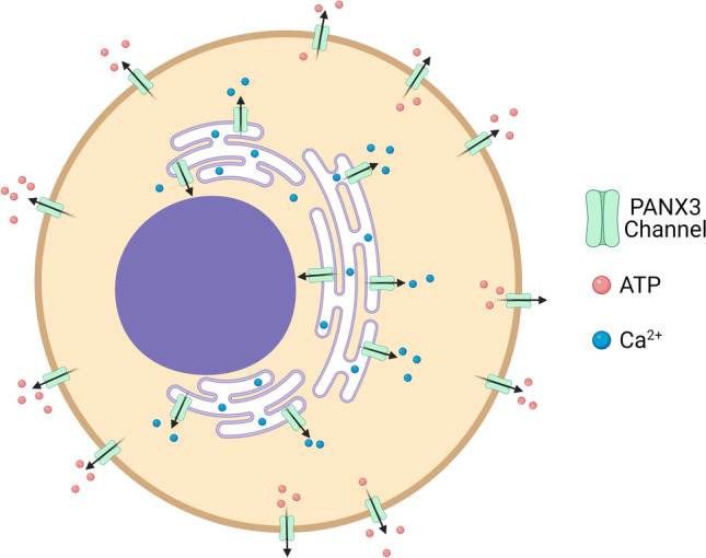 Fig. 1