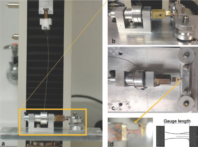 Figure 3a-d.