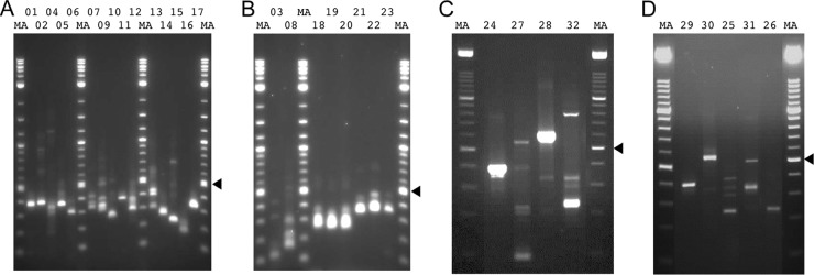 Fig 3