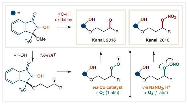 Scheme 21