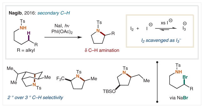 Scheme 5