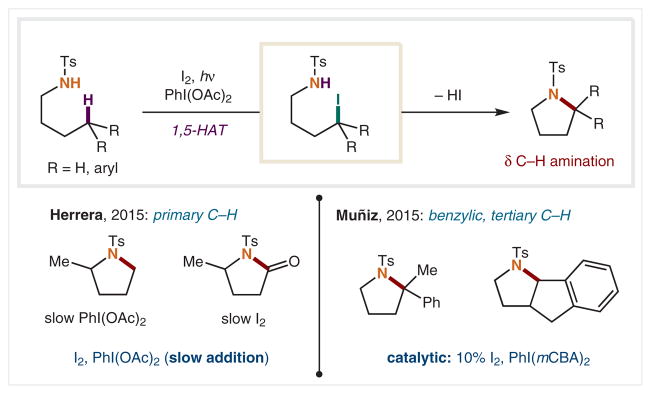 Scheme 4