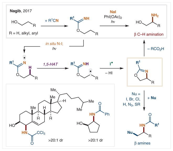 Scheme 14