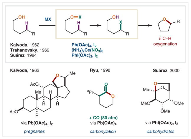 Scheme 18