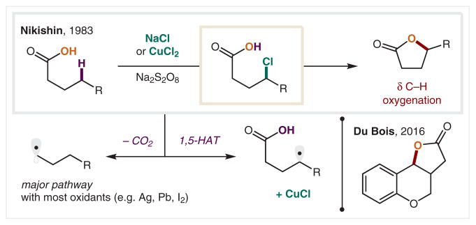 Scheme 22