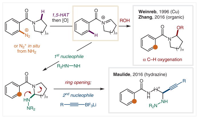 Scheme 28