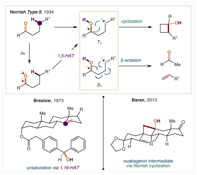 Scheme 15