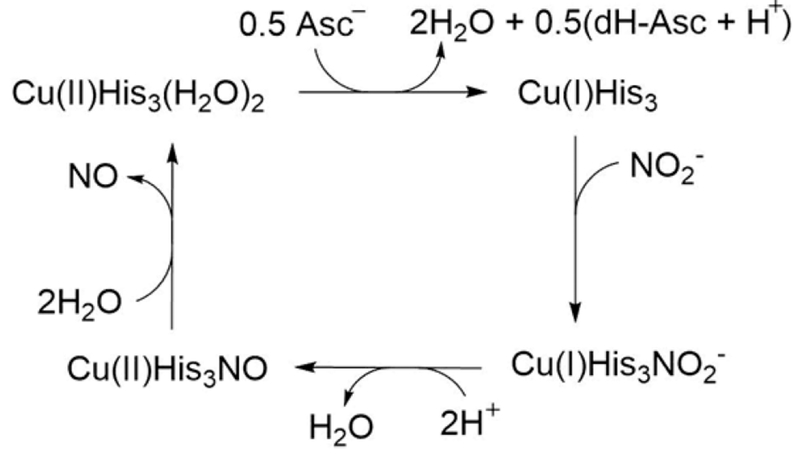 Scheme 2. :