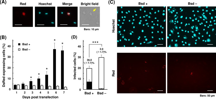 Fig 4