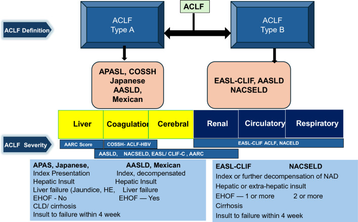 Fig. 7