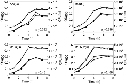 Figure 6