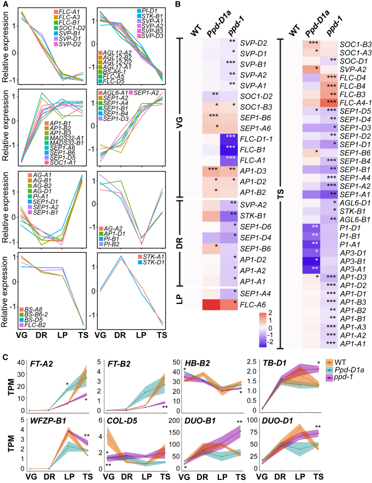 Figure 4