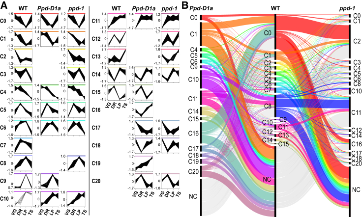 Figure 3