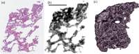 Appendix 3—figure 2.